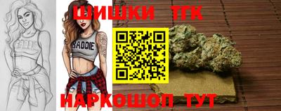 прущие грибы Аша