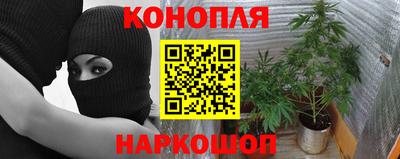 прущие грибы Аша