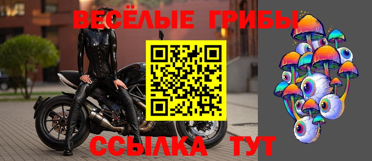 Богданович  Галлюциногенные грибы MAGIC MUSHROOMS  Псилоцибиновые грибы MAGIC MUSHROOMS  Вход с VPN 